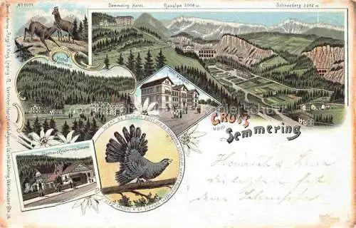 AK / Ansichtskarte Semmering Niederoesterreich AT Panorama Blick gegen Raxalpe Schneeberg Hotel Gasthaus Auerhahn Gemsen Litho