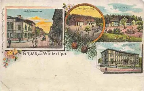 AK / Ansichtskarte WINTERTHUR  ZH Museumsstrasse Hof Eschenberg Bruderhaus Technikum Litho