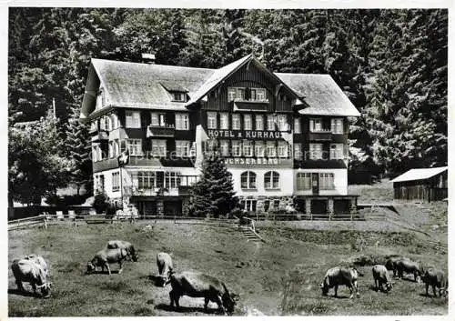 AK / Ansichtskarte Buchs  Buchs-Werdenberg SG Hotel und Kurhaus Buchserberg