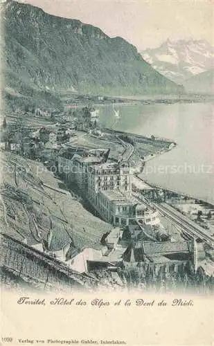 AK / Ansichtskarte Territet Montreux VD Hotel des Alpes et la Dent du Midi