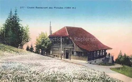 AK / Ansichtskarte Les Pleiades Chatel-St-Denis VD Chalet Restaurant des Pleiades