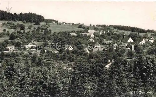 AK / Ansichtskarte Zumikon Meilen ZH Panorama