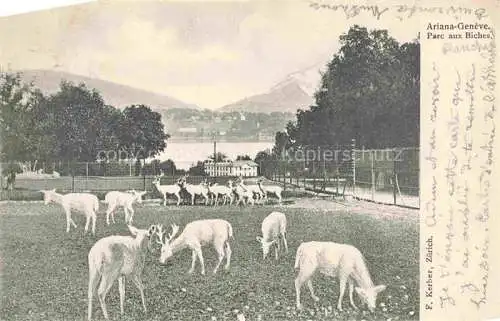 AK / Ansichtskarte Ariana GENEVE Genf GE Parc aux Biches