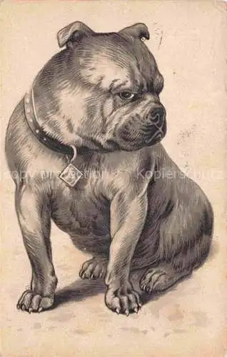 AK / Ansichtskarte HUNDE dogs chiens-- 