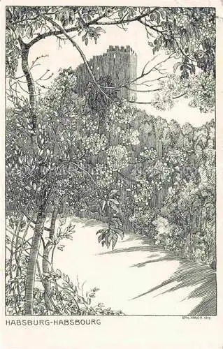 AK / Ansichtskarte Habsburg Schloss AG Schloss Emil Anner Kuenstlerkarte
