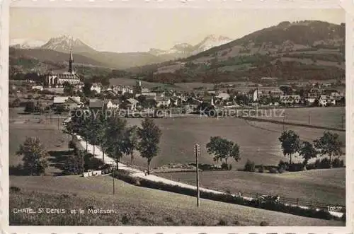 AK / Ansichtskarte Chatel-St-Denis La Veveyse FR et le Moleson