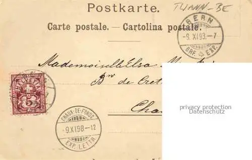 AK / Ansichtskarte BERN BE Fischer-Hinnens Berner Baeren-Postkarten Nr. 12 Kuenstlerkarte