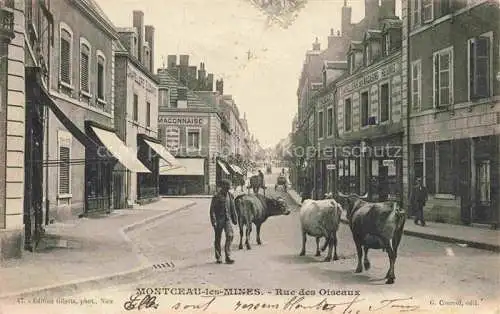 AK / Ansichtskarte Montceau-les-Mines Montceaux-l Etoile Charolles 71 Saone-et-Loire Rue des Oiseaux