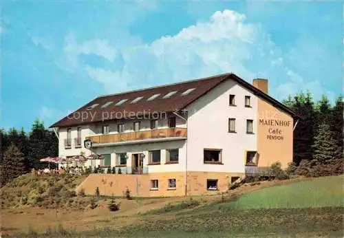 AK / Ansichtskarte Siedelsbrunn Wald-Michelbach Bergstrasse Hessen Maienhof Cafe Pension
