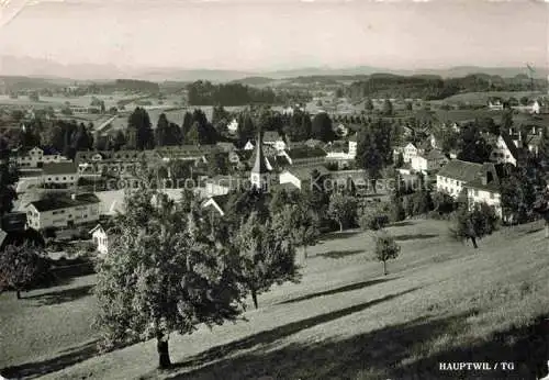 AK / Ansichtskarte Hauptwil TG Panorama