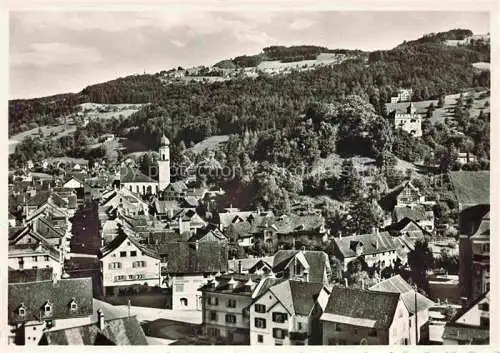 AK / Ansichtskarte Rheineck  SG Panorama