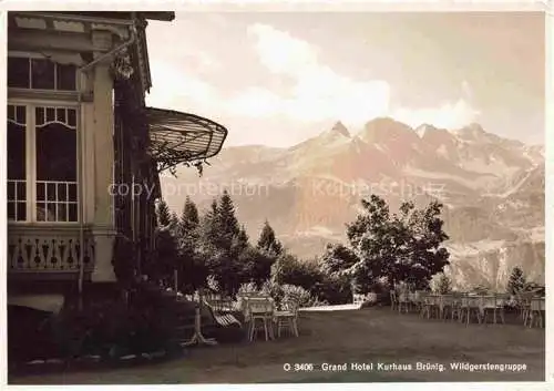 AK / Ansichtskarte Bruenig  OW Grand Hotel Kurhaus Bruenig Wildgerstengruppe