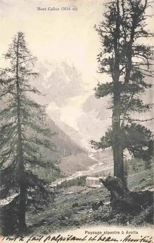AK / Ansichtskarte Arolla Herens VS Paysage alpestre Mont Collon