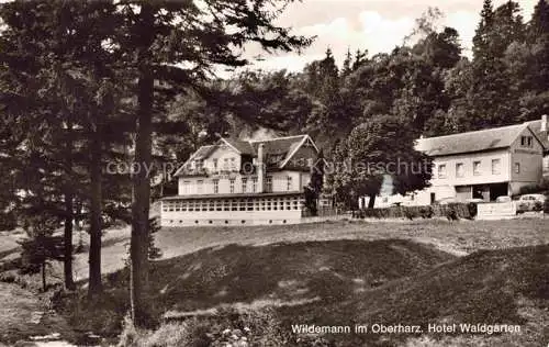 AK / Ansichtskarte Wildemann Harz Hotel Waldgarten