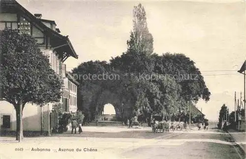 AK / Ansichtskarte Aubonne  VD Avenue du Chêne
