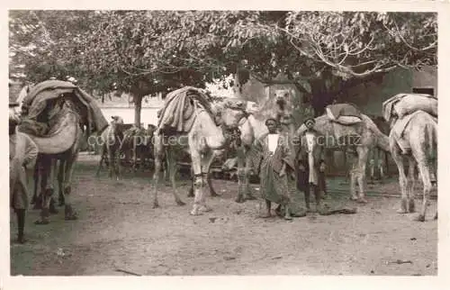 AK / Ansichtskarte DAKAR Senegal La Traite des Arachides