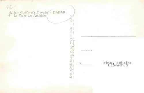 AK / Ansichtskarte DAKAR Senegal La Traite des Arachides