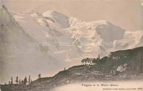 AK / Ansichtskarte Flegere CHAMONIX 74 Haute-Savoie et le Mont Blanc