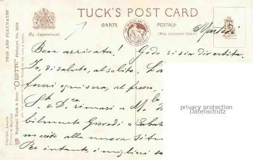 AK / Ansichtskarte Tucks Verlag Tucks Oilette Serie Nr. 3598 Ducks Hunde Spielzeug Ente   