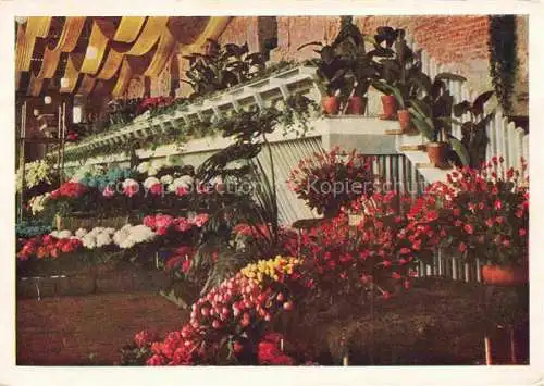 AK / Ansichtskarte BUGA Bundesgartenschau Kassel Sonderschau Orangerie 