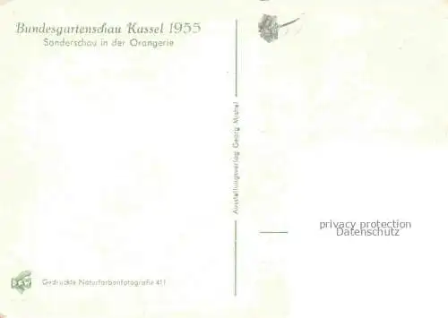 AK / Ansichtskarte BUGA Bundesgartenschau Kassel Sonderschau Orangerie 