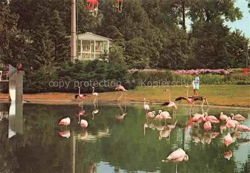 AK / Ansichtskarte BUGA Bundesgartenschau Koeln Festival Flamingo Teich Park Sessellift 