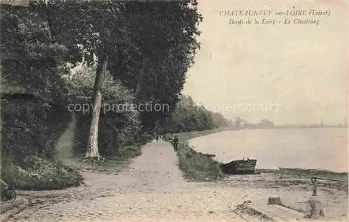 AK / Ansichtskarte Chateauneuf-sur-Loire Orleans 45 Loiret Aux bords de la Loire le Chastaing