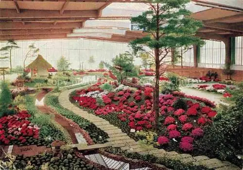 AK / Ansichtskarte IGA Gartenbauaustellung International Hamburg Blumen Fleur 