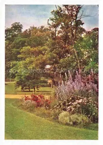 AK / Ansichtskarte BUGA Bundesgartenschau Kassel Staudengruppe 