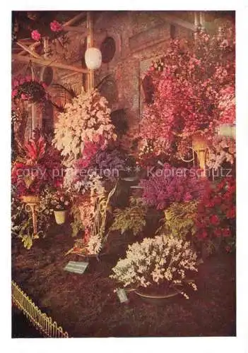 AK / Ansichtskarte BUGA Bundesgartenschau Kassel Sonderschau Orangerie 