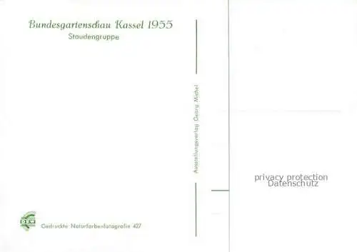 AK / Ansichtskarte BUGA Bundesgartenschau Staudengruppe 