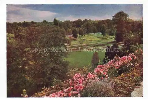 AK / Ansichtskarte BUGA Bundesgartenschau Kassel Rosen