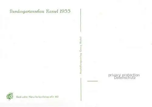 AK / Ansichtskarte BUGA Bundesgartenschau Kassel Rosen