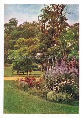 AK / Ansichtskarte BUGA Bundesgartenschau Kassel Staudengruppe 