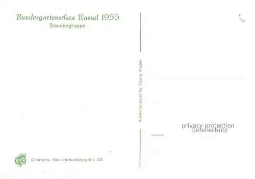 AK / Ansichtskarte BUGA Bundesgartenschau Kassel Staudengruppe 