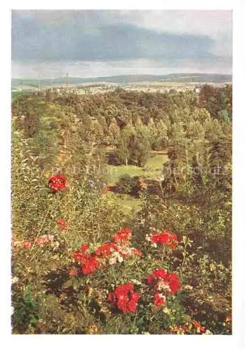 AK / Ansichtskarte BUGA Bundesgartenschau Kassel Rosen 