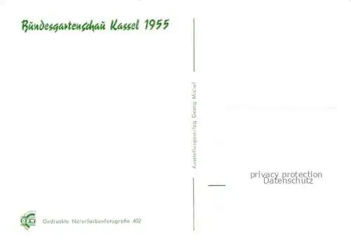 AK / Ansichtskarte BUGA Bundesgartenschau Kassel Rosen 