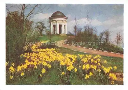 AK / Ansichtskarte BUGA Bundesgartenschau Kassel Tempel Rosenhang 