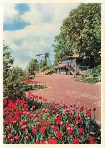 AK / Ansichtskarte BUGA Bundesgartenschau Kassel Milchbar Sesselbahnstation 