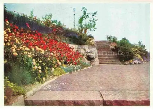 AK / Ansichtskarte BUGA Bundesgartenschau Kassel Rosenhang Ausstellungsturm 