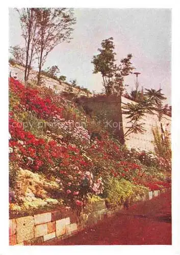 AK / Ansichtskarte BUGA Bundesgartenschau Kassel 