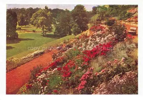 AK / Ansichtskarte BUGA Bundesgartenschau Kassel Rosenzeit Hang Terrassen 
