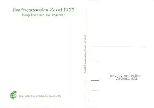 AK / Ansichtskarte BUGA Bundesgartenschau Kassel Rosenzeit Hang Terrassen 