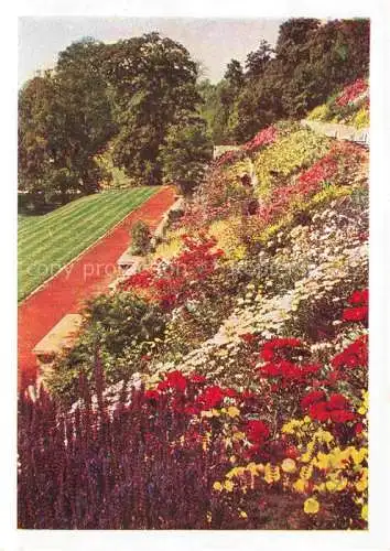 AK / Ansichtskarte BUGA Bundesgartenschau Kassel Hang Terrassen Rosenzeit 