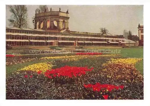 AK / Ansichtskarte BUGA Bundesgartenschau Kassel Orangerie 