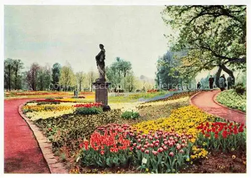 AK / Ansichtskarte BUGA Bundesgartenschau Kassel Blumenflor Mauer Wasserspiele 