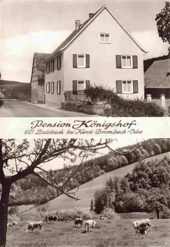 AK / Ansichtskarte Balsbach Limbach Neckar-Odenwald-Kreis BW Pension Koenigshof Rinderherde