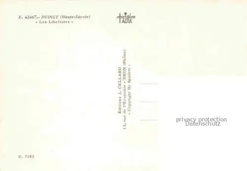 AK / Ansichtskarte Duingt Talloires ANNECY 74 Haute-Savoie Les Libellules Hotel Restaurant vue aérienne