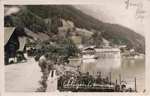AK / Ansichtskarte Ebligen Oberried Brienzersee BE Brienzersee Panorama