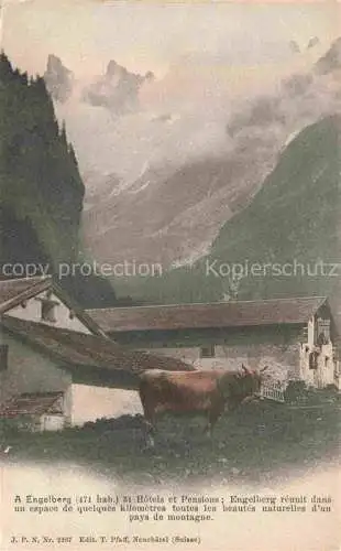 AK / Ansichtskarte Engelberg  OW Bergbauernhof Kuh Alpen